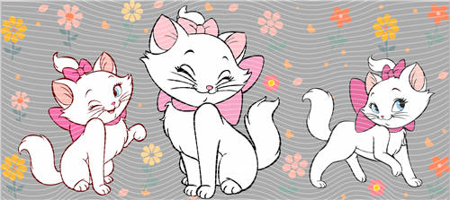 16oz Latest Bestseller-C 5560